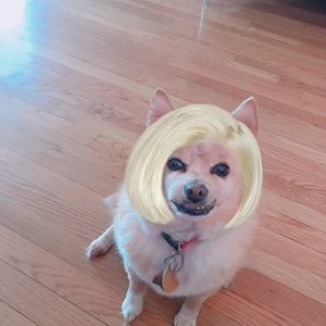 Meet your Posher, Jay